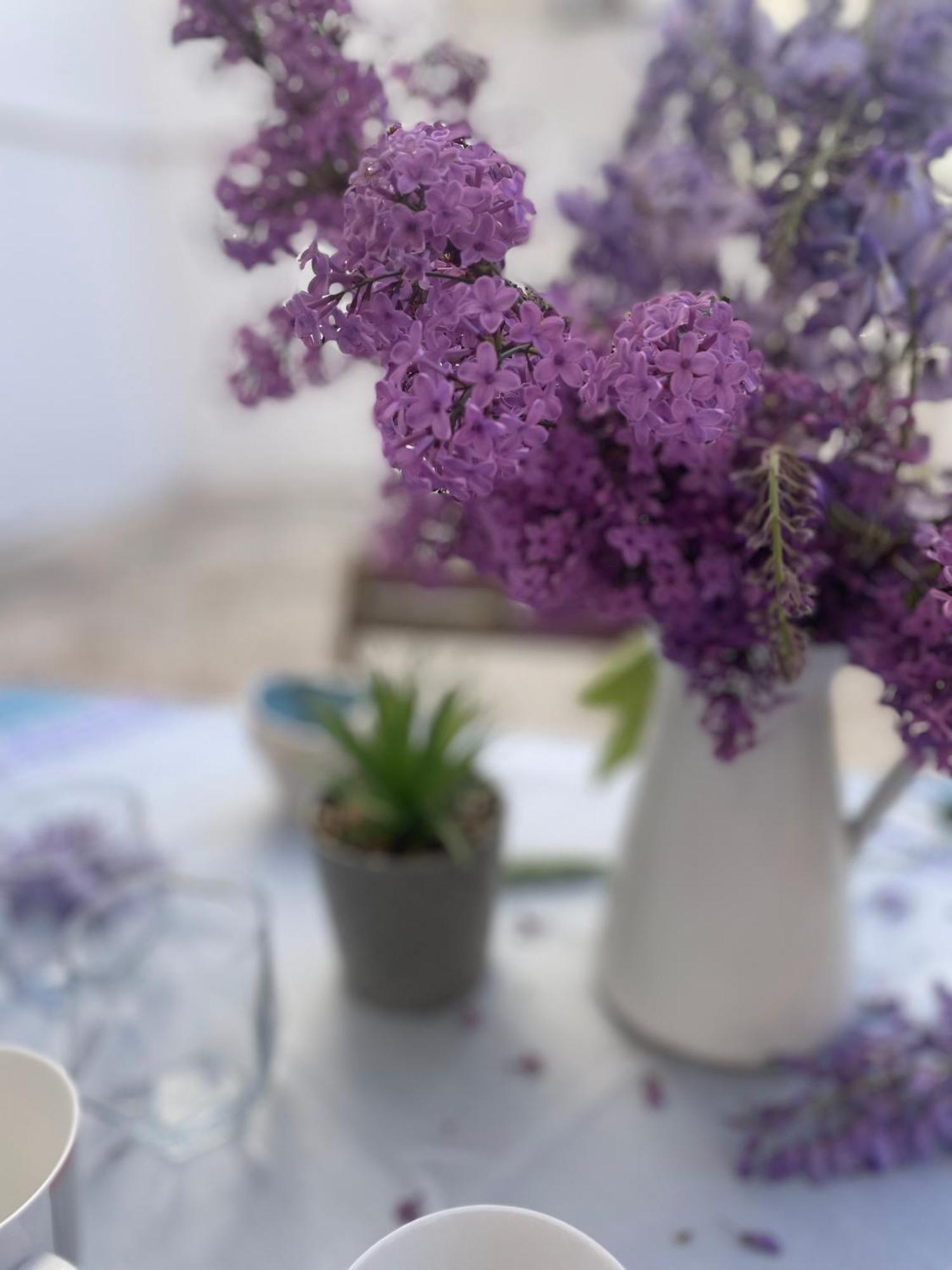 Vespahome Kavala Exteriér fotografie